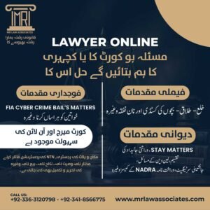 Online Lawyer Consultation